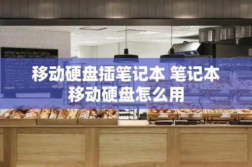 移动硬盘插笔记本 笔记本移动硬盘怎么用-第1张图片-星选测评