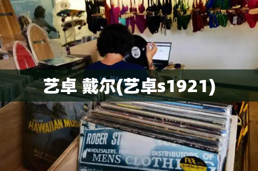 艺卓 戴尔(艺卓s1921)-第1张图片-星选测评