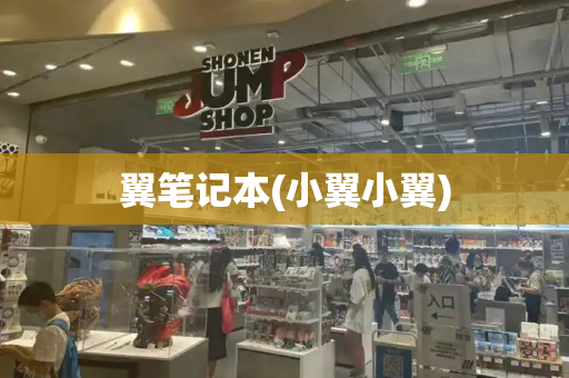 翼笔记本(小翼小翼)-第1张图片-星选测评