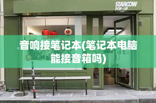 音响接笔记本(笔记本电脑能接音箱吗)