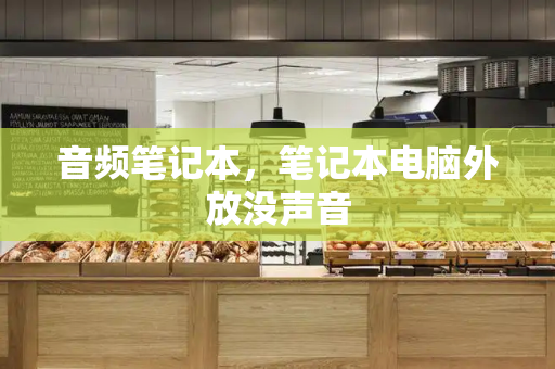 音频笔记本，笔记本电脑外放没声音