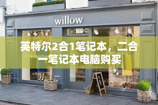 英特尔2合1笔记本，二合一笔记本电脑购买-第1张图片-星选测评