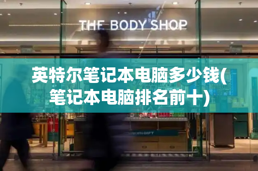 英特尔笔记本电脑多少钱(笔记本电脑排名前十)-第1张图片-星选测评