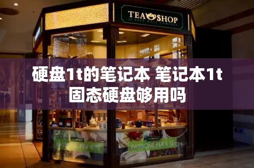 硬盘1t的笔记本 笔记本1t固态硬盘够用吗-第1张图片-星选测评
