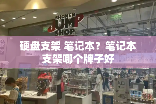 硬盘支架 笔记本？笔记本支架哪个牌子好