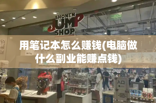 用笔记本怎么赚钱(电脑做什么副业能赚点钱)-第1张图片-星选测评