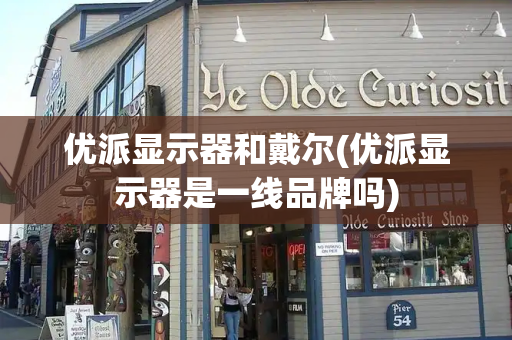 优派显示器和戴尔(优派显示器是一线品牌吗)
