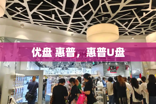 优盘 惠普，惠普U盘