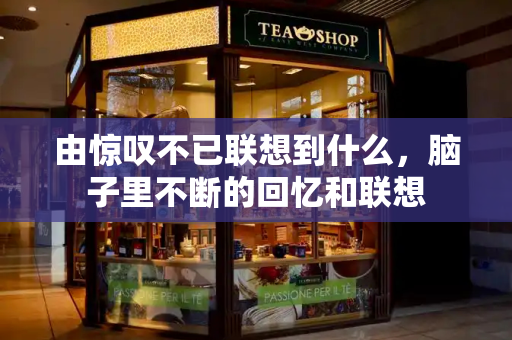 由惊叹不已联想到什么，脑子里不断的回忆和联想-第1张图片-星选测评