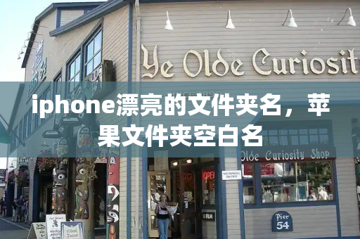 iphone漂亮的文件夹名，苹果文件夹空白名-第1张图片-星选测评