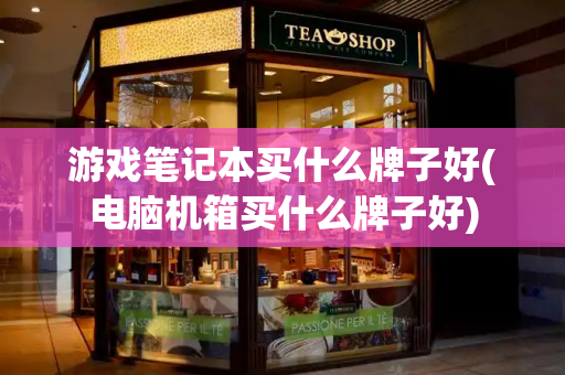 游戏笔记本买什么牌子好(电脑机箱买什么牌子好)
