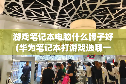 游戏笔记本电脑什么牌子好(华为笔记本打游戏选哪一款)-第1张图片-星选测评