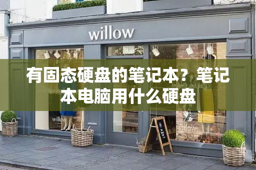 有固态硬盘的笔记本？笔记本电脑用什么硬盘-第1张图片-星选测评