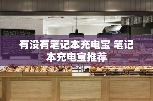 有没有笔记本充电宝 笔记本充电宝推荐-第1张图片-星选测评