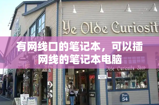 有网线口的笔记本，可以插网线的笔记本电脑-第1张图片-星选测评