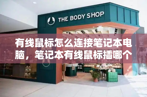 有线鼠标怎么连接笔记本电脑，笔记本有线鼠标插哪个接口