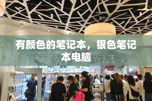 有颜色的笔记本，银色笔记本电脑-第1张图片-星选测评