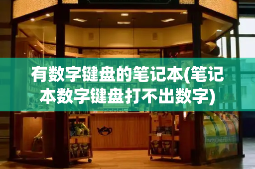 有数字键盘的笔记本(笔记本数字键盘打不出数字)-第1张图片-星选测评