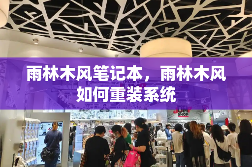 雨林木风笔记本，雨林木风如何重装系统-第1张图片-星选测评