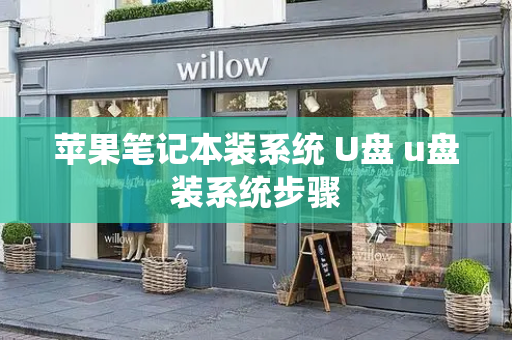 苹果笔记本装系统 U盘 u盘装系统步骤