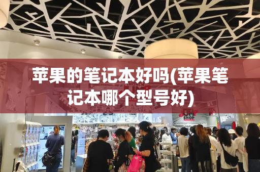 苹果的笔记本好吗(苹果笔记本哪个型号好)-第1张图片-星选测评
