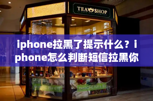 iphone拉黑了提示什么？iphone怎么判断短信拉黑你没-第1张图片-星选测评