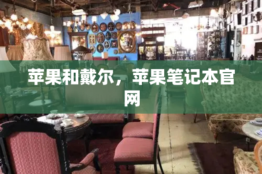 苹果和戴尔，苹果笔记本官网-第1张图片-星选测评