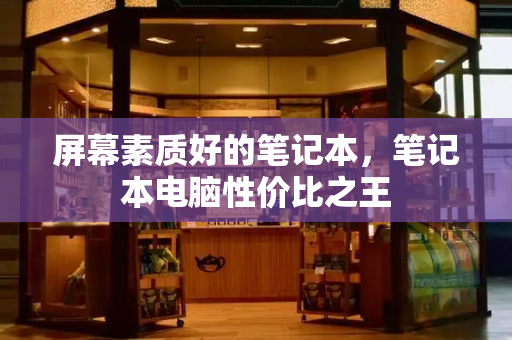 屏幕素质好的笔记本，笔记本电脑性价比之王