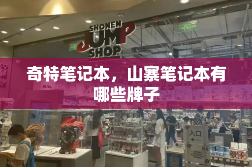 奇特笔记本，山寨笔记本有哪些牌子-第1张图片-星选测评