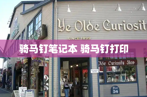 骑马钉笔记本 骑马钉打印-第1张图片-星选测评