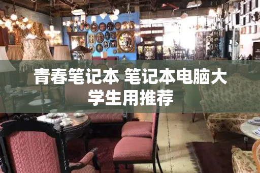 青春笔记本 笔记本电脑大学生用推荐