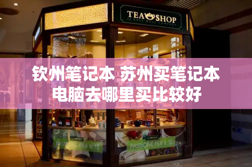 钦州笔记本 苏州买笔记本电脑去哪里买比较好-第1张图片-星选测评