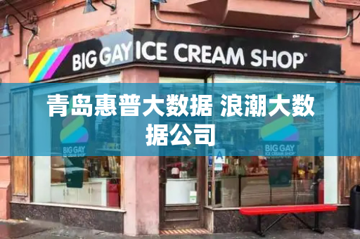 青岛惠普大数据 浪潮大数据公司