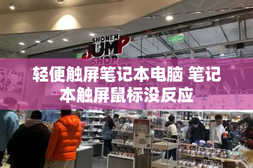 轻便触屏笔记本电脑 笔记本触屏鼠标没反应-第1张图片-星选测评