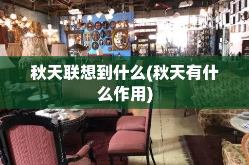 秋天联想到什么(秋天有什么作用)