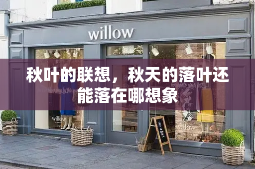 秋叶的联想，秋天的落叶还能落在哪想象-第1张图片-星选测评