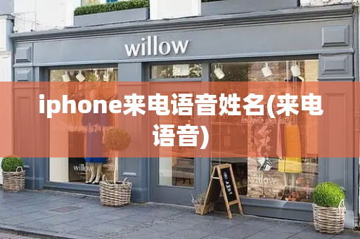 iphone来电语音姓名(来电语音)