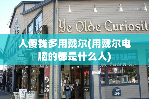 人傻钱多用戴尔(用戴尔电脑的都是什么人)-第1张图片-星选测评
