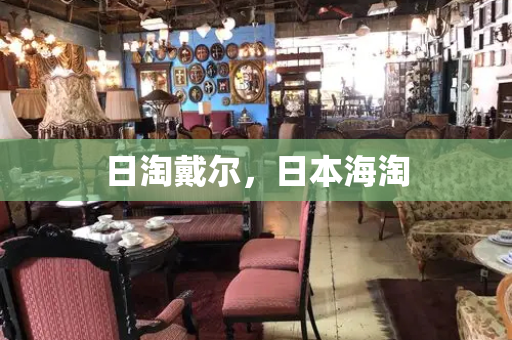 日淘戴尔，日本海淘-第1张图片-星选测评