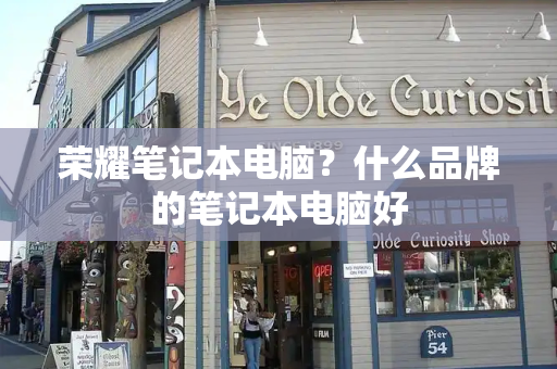 荣耀笔记本电脑？什么品牌的笔记本电脑好-第1张图片-星选测评