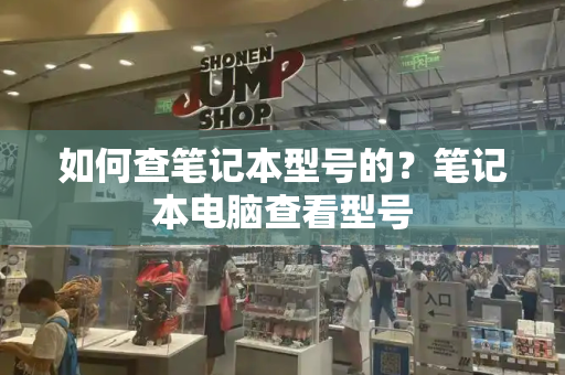 如何查笔记本型号的？笔记本电脑查看型号