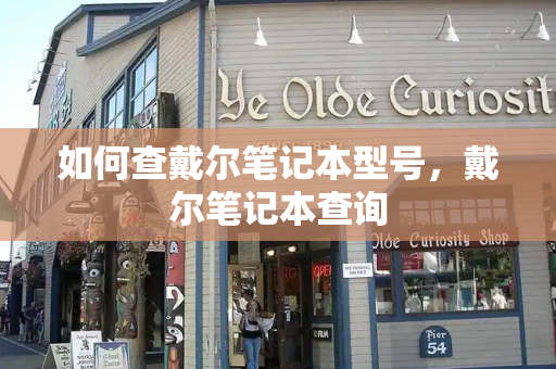 如何查戴尔笔记本型号，戴尔笔记本查询