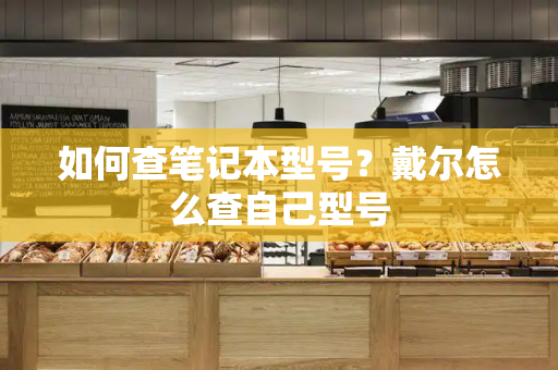 如何查笔记本型号？戴尔怎么查自己型号-第1张图片-星选测评