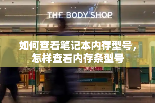 如何查看笔记本内存型号，怎样查看内存条型号-第1张图片-星选测评