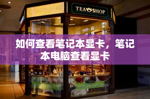 如何查看笔记本显卡，笔记本电脑查看显卡-第1张图片-星选测评