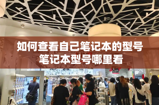 如何查看自己笔记本的型号 笔记本型号哪里看-第1张图片-星选测评