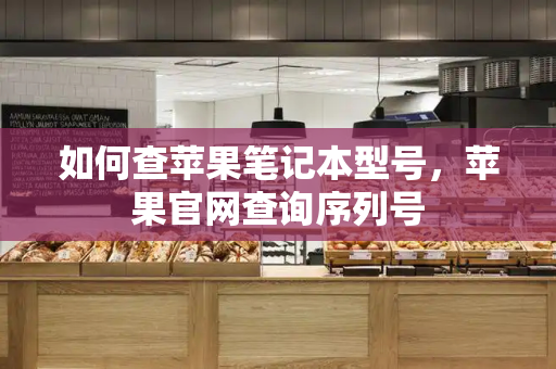如何查苹果笔记本型号，苹果官网查询序列号