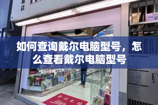 如何查询戴尔电脑型号，怎么查看戴尔电脑型号-第1张图片-星选测评