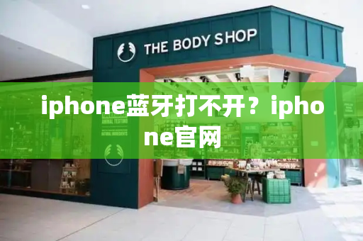 iphone蓝牙打不开？iphone官网-第1张图片-星选测评