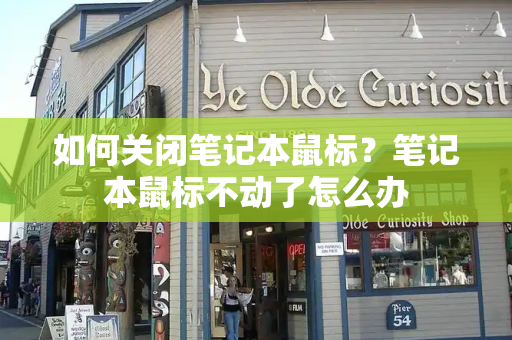 如何关闭笔记本鼠标？笔记本鼠标不动了怎么办-第1张图片-星选测评